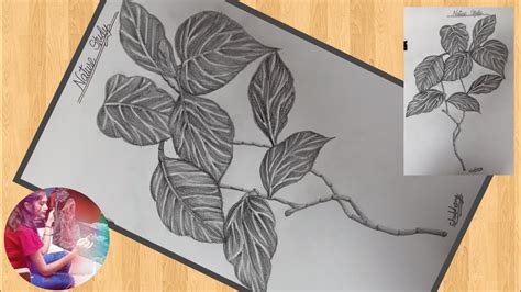 Nature Study Drawing