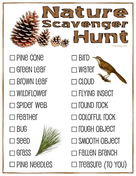 Nature Study Scavenger Hunt Ideas A Passion Led Science Scavenger Hunt At Home - Science Scavenger Hunt At Home