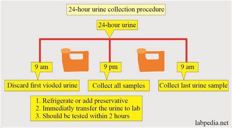 Download Nccls Guidelines For Urine Collection 