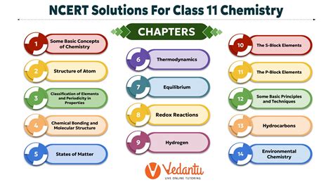 ncert class 11 all chapter exercise solution
