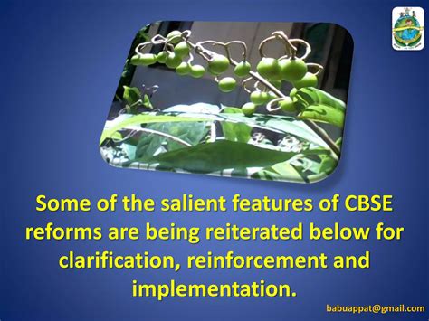 Full Download Ncert Cbse Cce Guide 