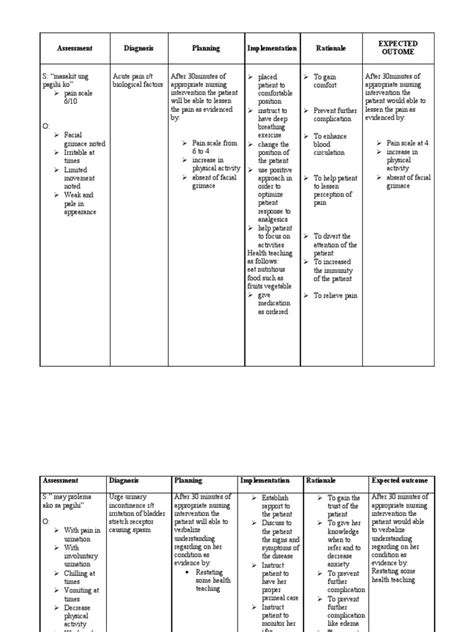 Ncp For Pyelonephritis