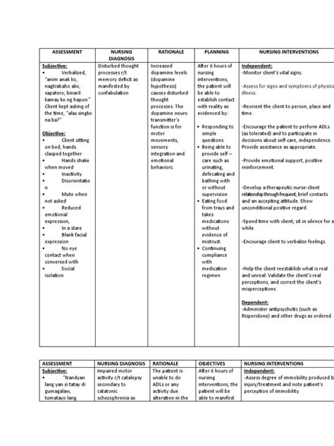 Ncp On Schizophrenia