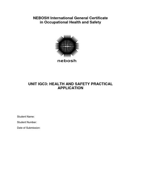 nebosh igc3 report