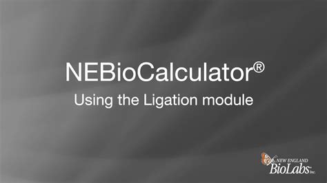 Nebtools Download Ligation Calculator Neb - Ligation Calculator Neb