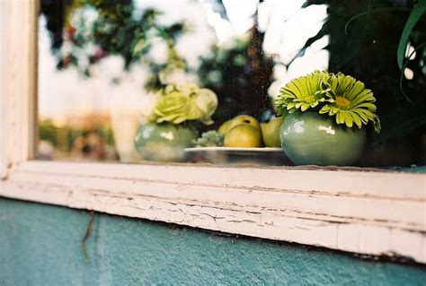 Instagram post by Heber Erdman #6