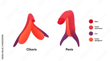 neck lickingenorme clitoris