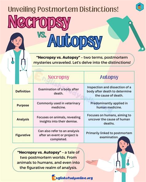 Read Online Necropsy 