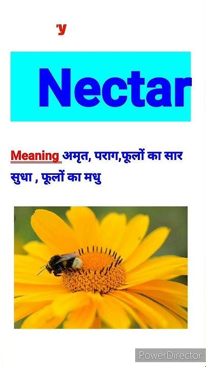 Nectar In Hindi