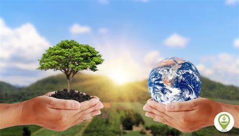Need Of Environmental Conservation