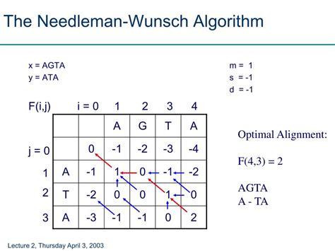 Needleman Wunsch Algorithm