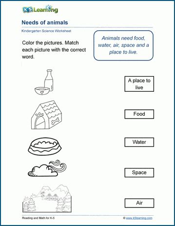 Needs Of Animals Worksheet K5 Learning Basic Animal Science Worksheet - Basic Animal Science Worksheet