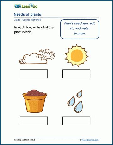Needs Of Plants Worksheets K5 Learning Planting Worksheets For Preschool - Planting Worksheets For Preschool