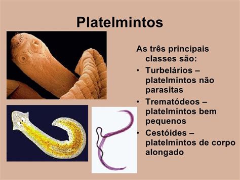Nematelmintos E Platelmintos