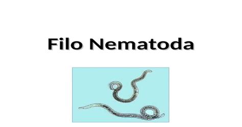 nematodeos - biofresh
