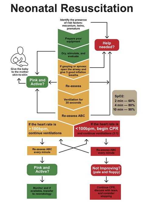 Neonatal Resuscitation Program