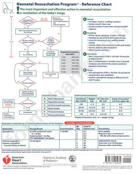 neonatal resuscitation program nrp pdf