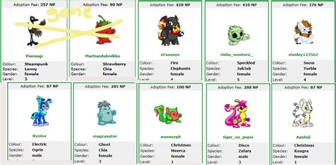 Full Download Neopets Pound Guide 