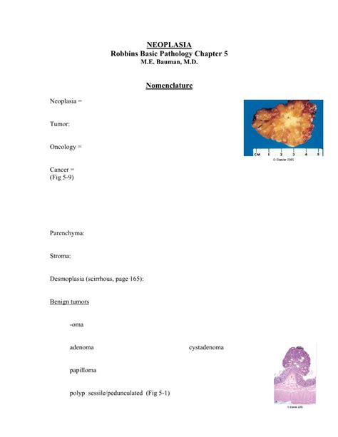 Read Neoplasia Robbins Basic Pathology Chapter 5 M E Bauman M D 