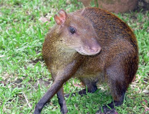 nature photo by Joelle Stanton