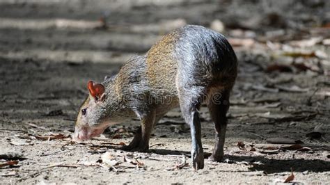 Instagram post by Jaylan Waters #7