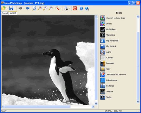 nero photosnap viewer essentials software