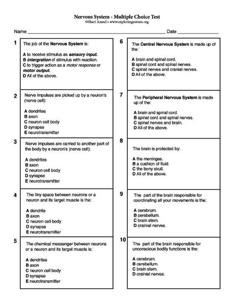 Nervous System Multiple Choice Questions And Answers