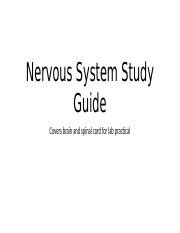 Download Nervous System Lab Practical Study Guide 