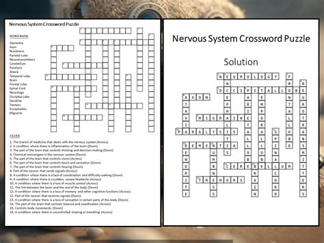 Read Nervous System Review Guide Crossword Puzzle Answers 