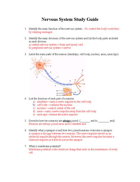 Full Download Nervous System Study Guide Answer Key 