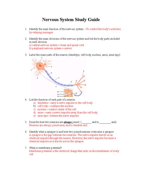 Full Download Nervous System Study Guide Answers 