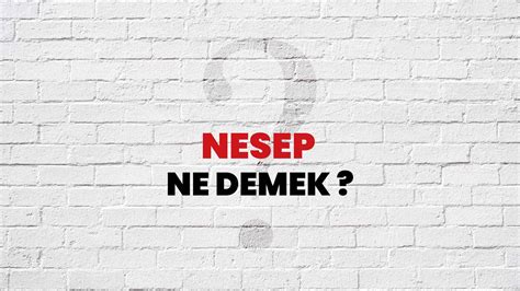 Nesep Ne Demek