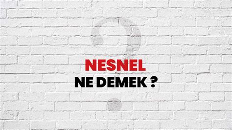 Nesnel Ne Demek