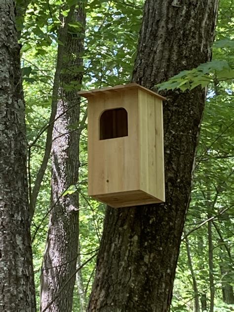 Full Download Nest Box Plans For The Barred Owl The Owl Owlpages 