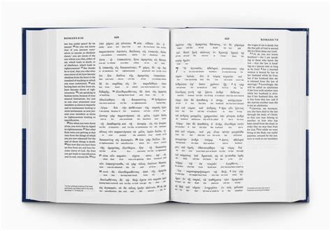 nestle aland 28 interlinear bible