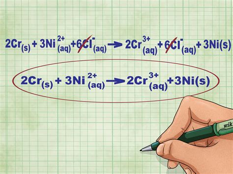 Net Ionic Equation