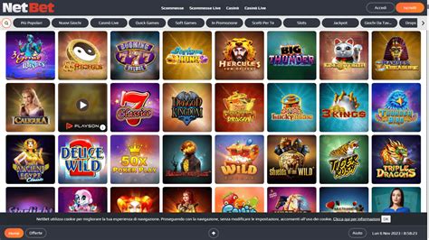 netbet casino desktop pegl