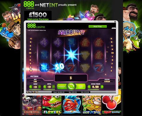 netent casino module dwks