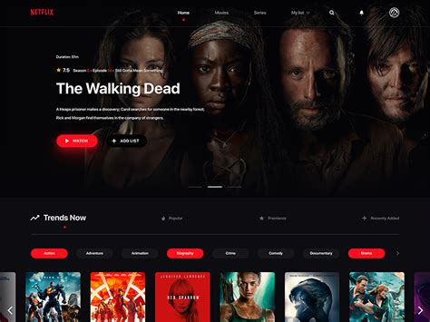 netflix main website