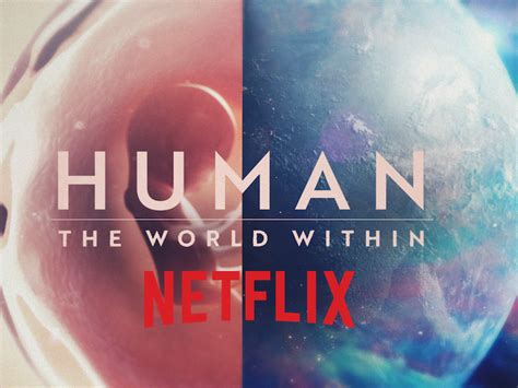 Netflix Quot Human The World Within Quot Episode Body Worlds Student Worksheet Answers - Body Worlds Student Worksheet Answers