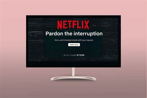 netflix vpn pardon the interruption