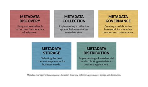 Netsuite Metadata Catalog