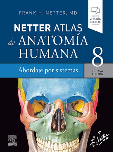 Netter
