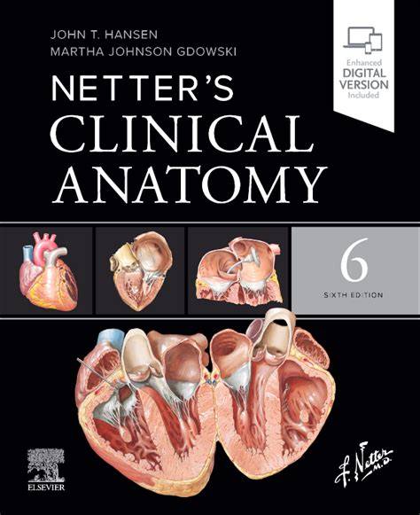 netter clinical anatomy