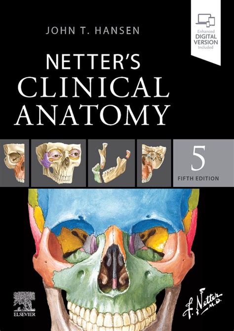 Read Online Netter Clinical Anatomy 
