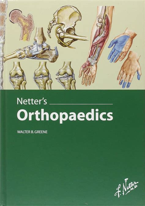 Netters Orthopaedics