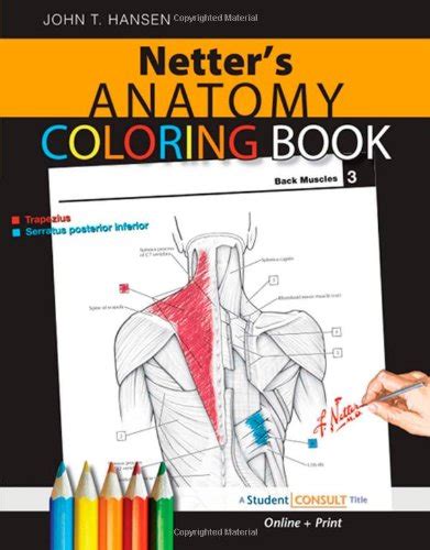 Read Online Netters Anatomy Coloring Book With Student Consult Access 1E Netter Basic Science 