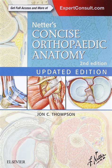 Read Online Netters Concise Orthopaedic Anatomy 2E Netter Basic Science 