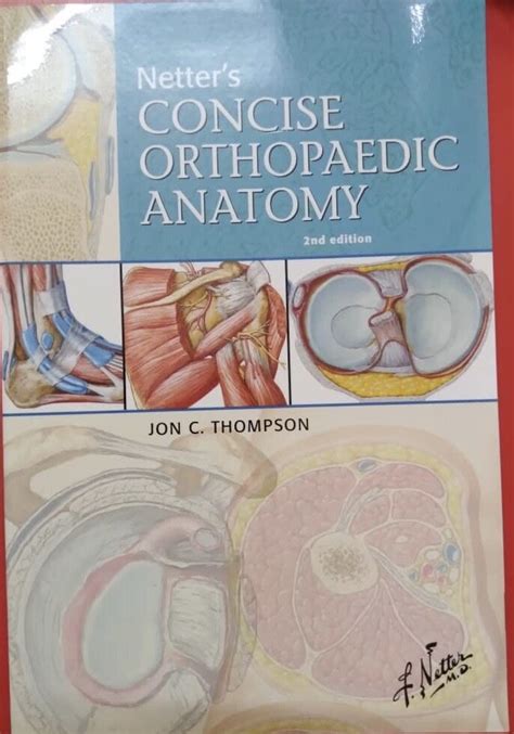 Full Download Netters Concise Orthopaedic Anatomy 2Nd Edition 