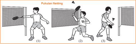 netting adalah | Bng dnh bng keo sn xut trc
